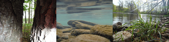 photos of a peek between 2 trees, the rocks across the water, and the side of a stream by Addison Hibbler