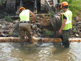 Halfmoon Creek Restoration