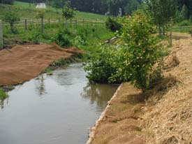 Halfmoon Creek Restoration