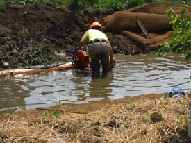 Halfmoon Creek Restoration