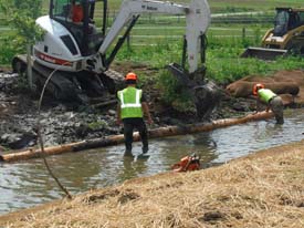 Halfmoon Creek Restoration