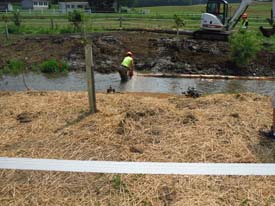 Halfmoon Creek Restoration