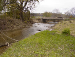 Before: The over-widened channel spanned the entire width of the bridge, casuing the sediment to drop out due to a decrease in flow velocity. (looking upstream)