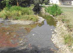 Before:  A cutoff channel had formed, and was eroding the yard to the right.  Excess sediment in the stream was reducing aquatic life.