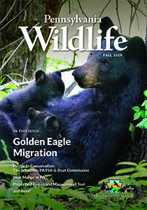picture of the Pennsylvania Wildlife Magazine from the fall of 2019