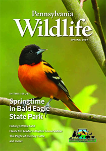 picture of the Pennsylvania Wildlife Magazine from the spring of 2019