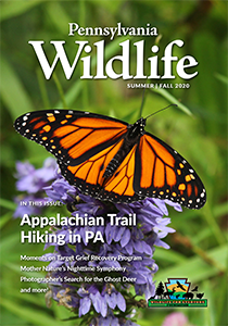 picture of the Pennsylvania Wildlife Magazine Summer-Fall 2020 issue