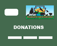 Donations